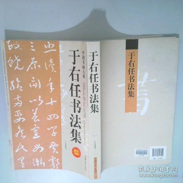 中国书画大系于右任书法集