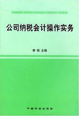 公司纳税会计操作实务