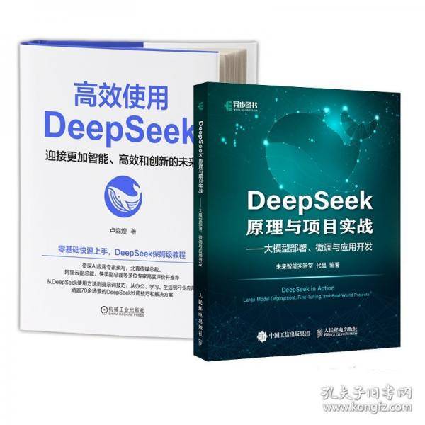 DeepSeek原理与项目实战大模型部署、微调与应用开发