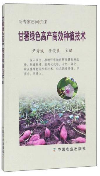 甘薯绿色高产高效种植技术/听专家田间讲课