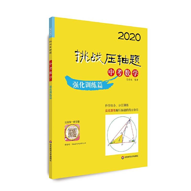 2020挑战压轴题·中考数学—强化训练篇