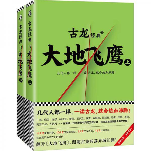 大地飞鹰