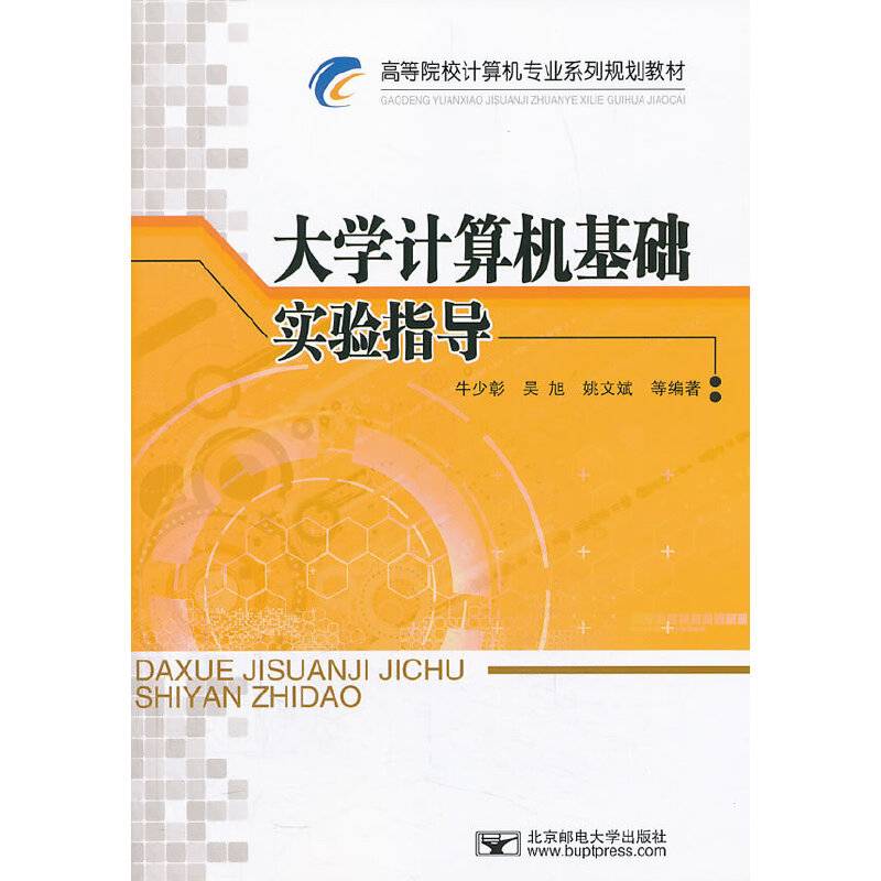 大学计算机基础实验指导/高等院校计算机专业系列规划教材