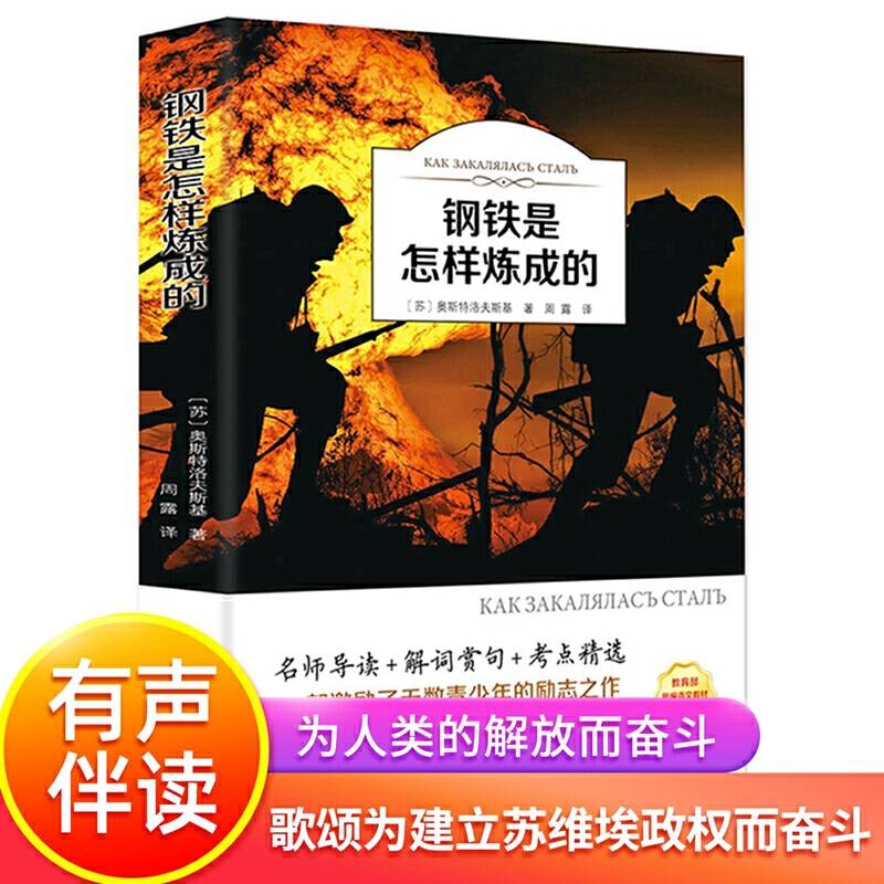 钢铁是怎样炼成的 中小学生青少年语文阅读书目 世界文学名著书籍