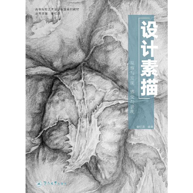 设计素描：观察与表现  感受与表现
