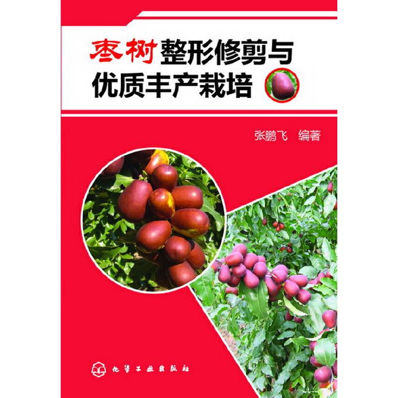 枣树整形修剪与优质丰产栽培