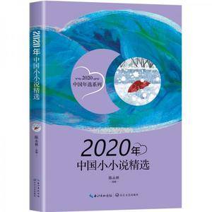 2020年中国小小说精选