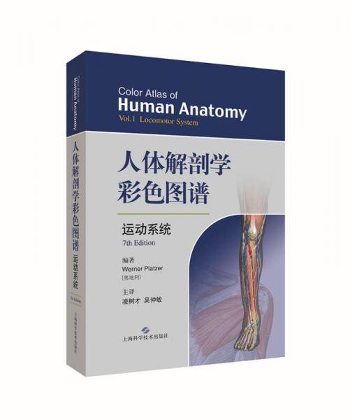 人体解剖学彩色图谱 运动系统