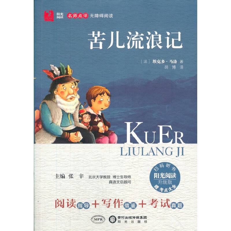 苦儿流浪记