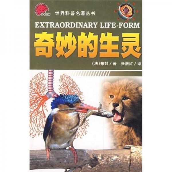 奇妙的生灵