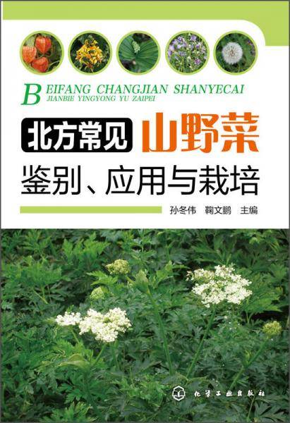 北方常见山野菜鉴别、应用与栽培