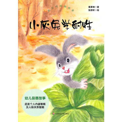 小灰兔学耐性