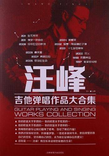汪峰吉他弹唱作品大合集