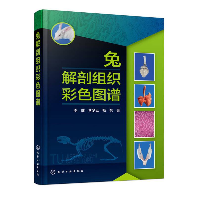 兔解剖组织彩色图谱