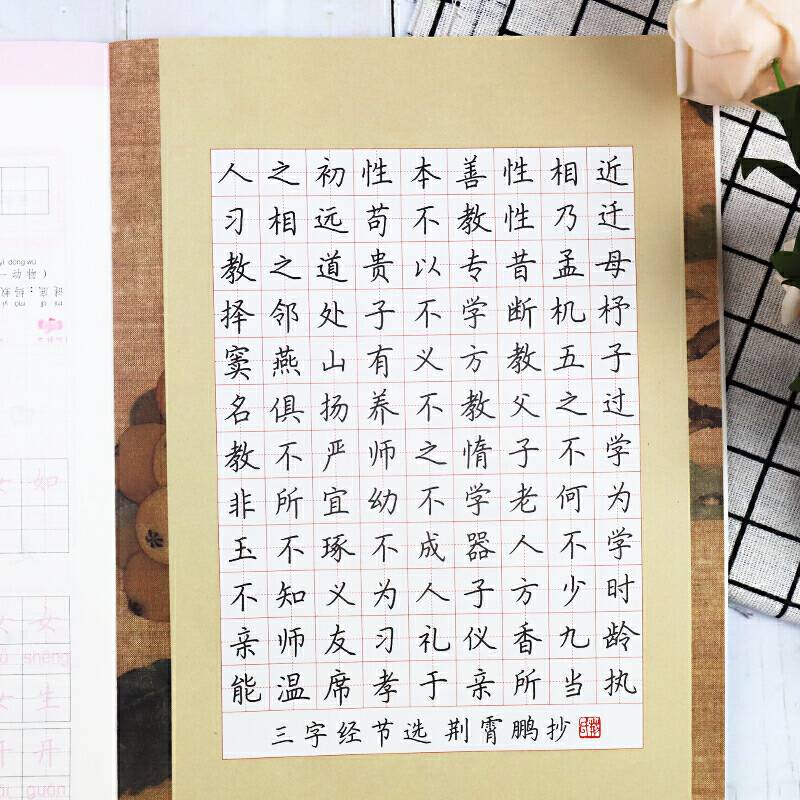 墨点字帖 2020年生字抄写本一年级上册部编版教材语文同步练字帖小学生听写默写套装