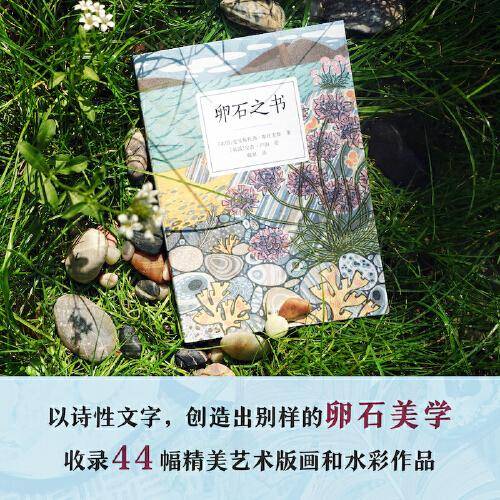 卵石之书（“天际线”丛书）