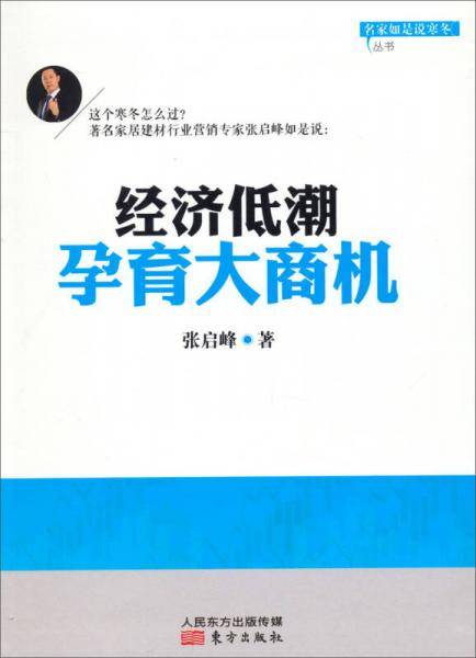 名家如是说寒冬丛书：经济低潮孕育大商机