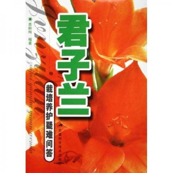 君子兰栽培养护疑难问答