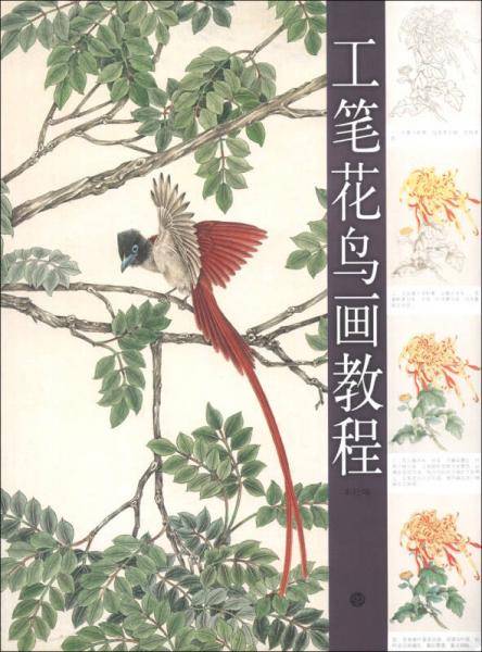 工笔花鸟画教程