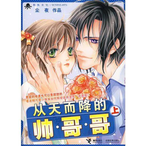 从天而降的帅哥哥（上）