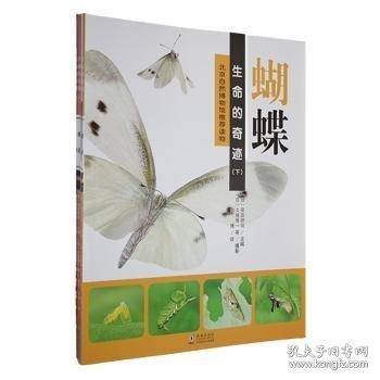 生命的奇迹:下