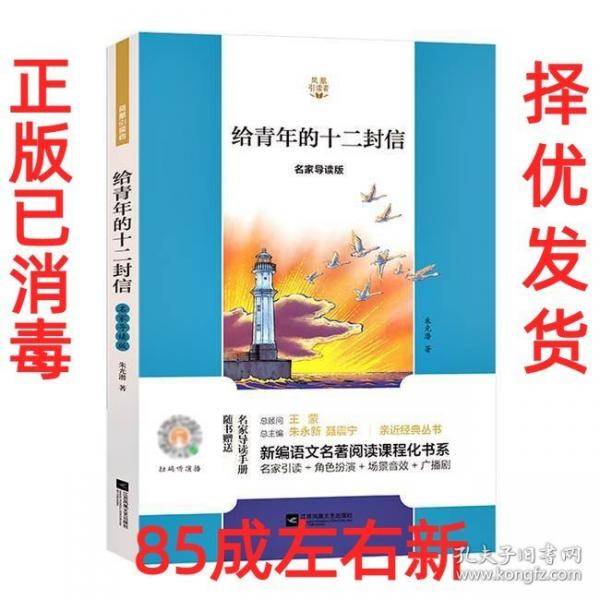 给青年的十二封信 名家导读版