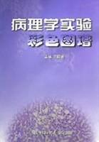 病理学实验彩色图谱