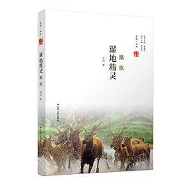 湿地精灵