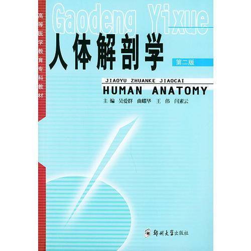 人体解剖学