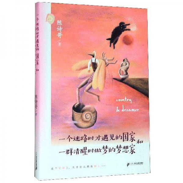 一个迷路时才遇见的国家和一群清醒时做梦的梦想家