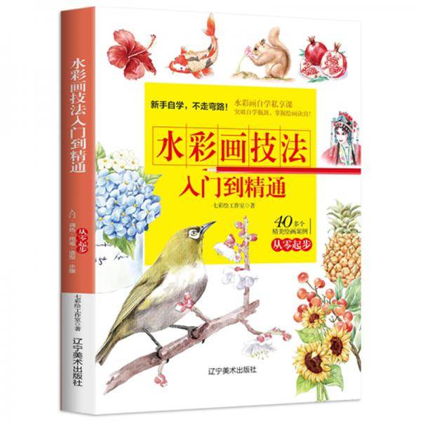 【水彩画技法入门到精通】新手自学，掌握绘画诀窍