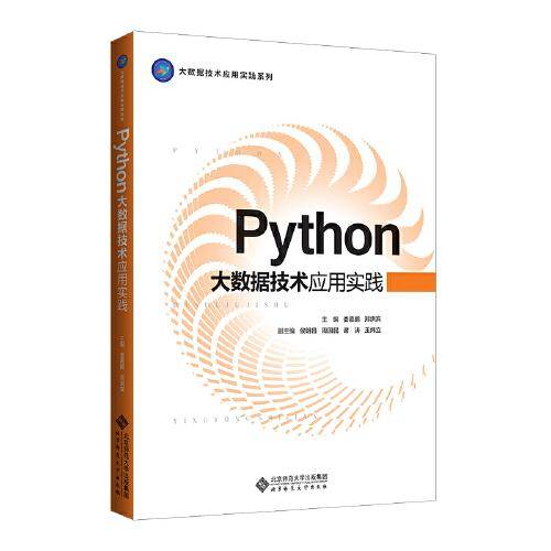 Python大数据技术应用实践