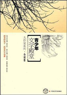 小说卷-青少年文学殿堂