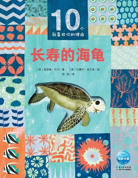 长寿的海龟