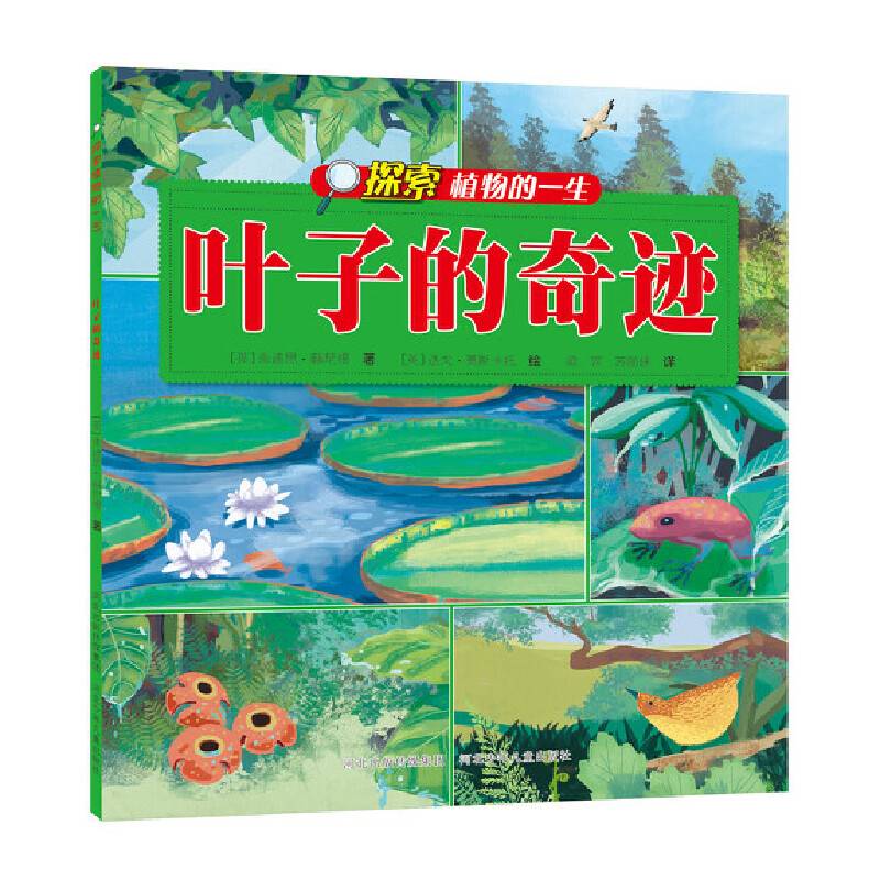探索植物的一生 叶子的奇迹