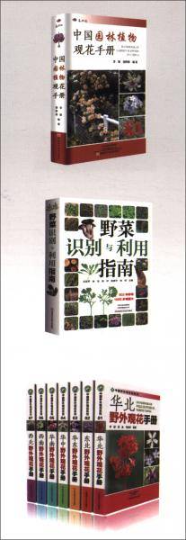 野果识别与利用指南