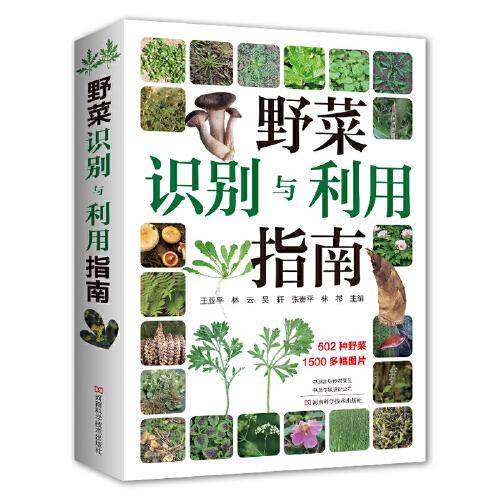 野菜识别与利用指南