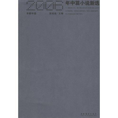 2006年中篇小说新选