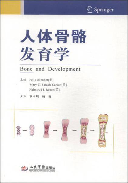 人体骨骼发育学