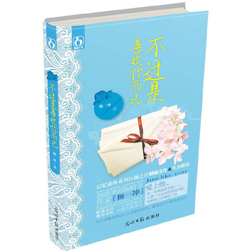 不过是喜欢你而已