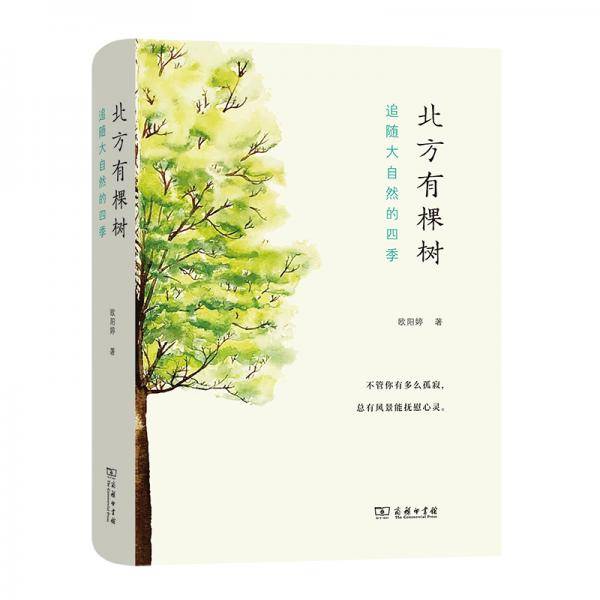 北方有棵树