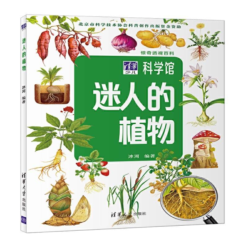 迷人的植物