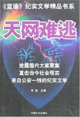 天网难逃