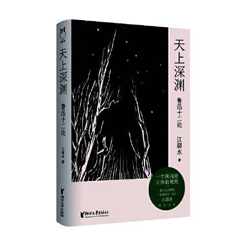 天上深渊：鲁迅十二论