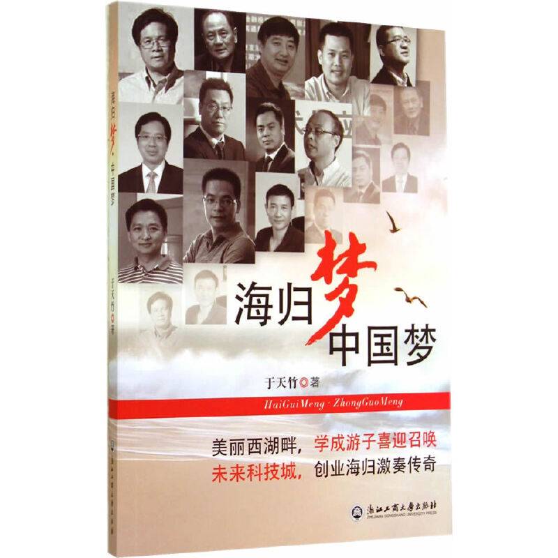 海归梦中国梦