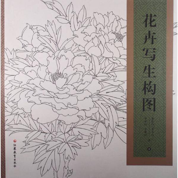 花卉写生构图