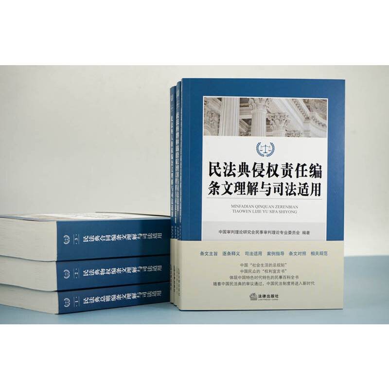 民法典合同编条文理解与司法适用