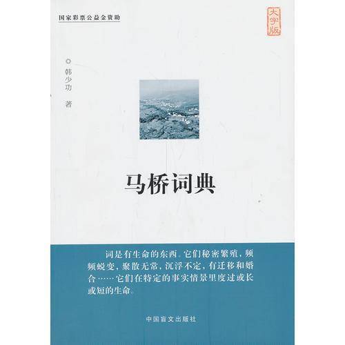 马桥词典（大字版）