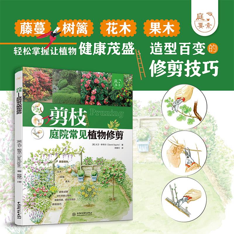 剪枝——庭院常见植物修剪（庭要素）