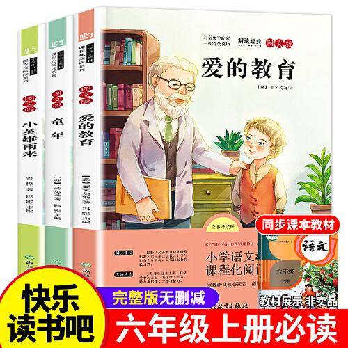 爱的教育+小英雄雨来+童年 快乐读书吧 六年级上（全3册）小学生课外阅读书籍